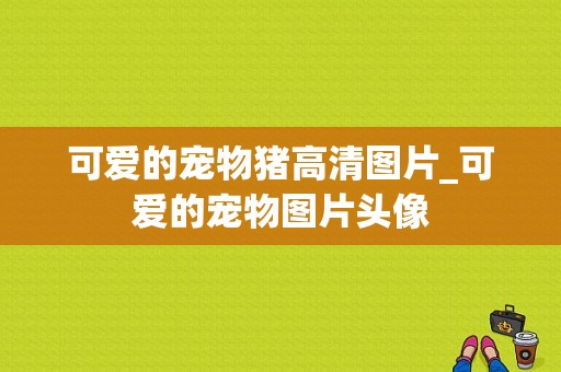 可爱的宠物猪高清图片_可爱的宠物图片头像