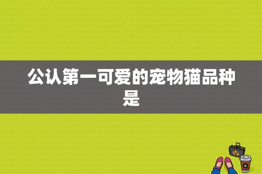 公认第一可爱的宠物猫品种是