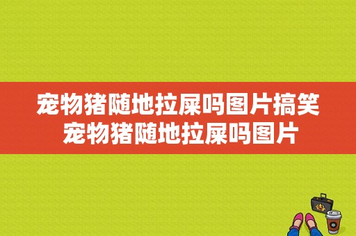 宠物猪随地拉屎吗图片搞笑 宠物猪随地拉屎吗图片