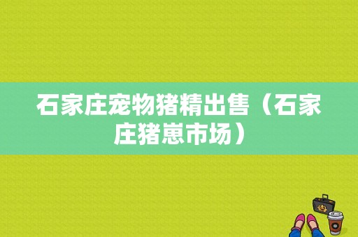 石家庄宠物猪精出售（石家庄猪崽市场）