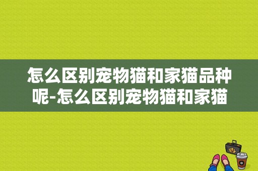 怎么区别宠物猫和家猫品种呢-怎么区别宠物猫和家猫品种