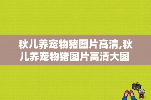 秋儿养宠物猪图片高清,秋儿养宠物猪图片高清大图 