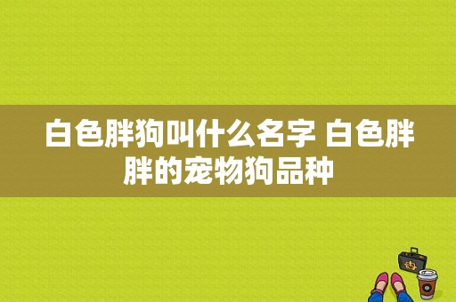 白色胖狗叫什么名字 白色胖胖的宠物狗品种